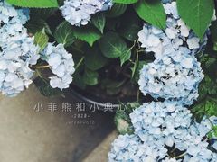 -知物癖(牛王庙店)