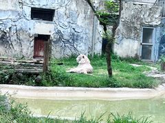 -黔灵山公园