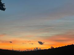 -武陵山森林公园