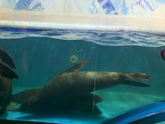 -成都浩海立方海洋公园
