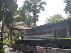 -大堂吧·雪茄吧·威士忌·下午茶(深圳机场希尔顿逸林酒店)