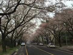 iphone_upload_pic-涯月海岸公路