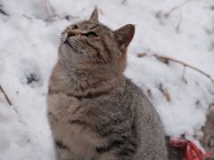 -终南山南五台景区