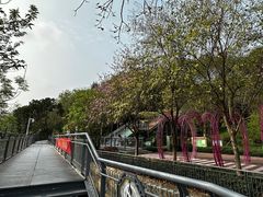 -佛山华盖山公园