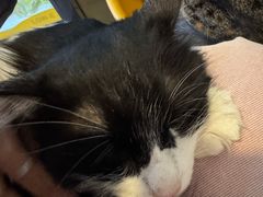 -平行世界·猫咖(首经贸店)