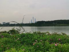 -海珠湖公园