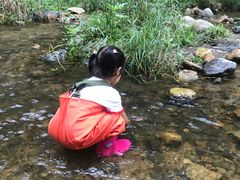 -碓臼峪自然风景区