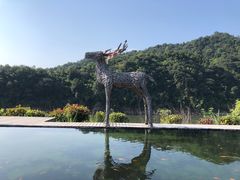 -婺源梦里老家大型山水实景演出