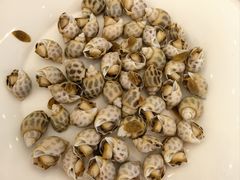 白灼花螺-大厝宅海鲜馆