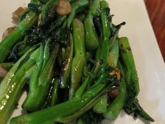 -顺德了能馆(虎门店)