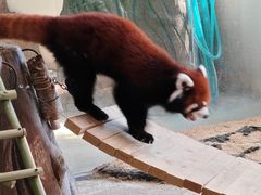 -海合安武汉极地海洋公园