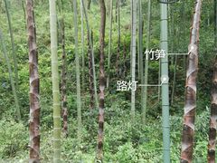 -黄公望隐居地