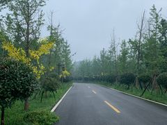 -黄陂区野村谷景区