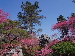-杭州植物园