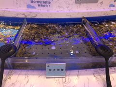 水产区-澜悦港海鲜体验主题餐厅