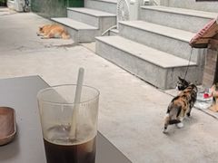 -啡语