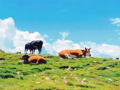 -灵山