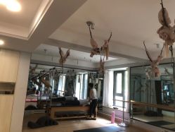 -JC·YOGA静禅瑜伽普拉提