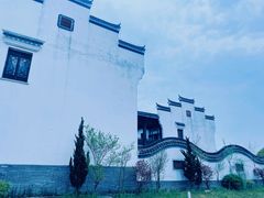 -宁波杭州湾国家湿地公园