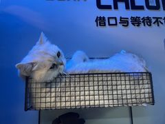 -M.S拳击泰拳馆(大学路店)