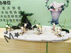 -龙大花卉苗木市场
