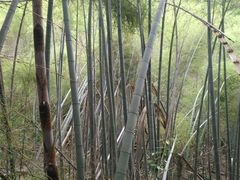 -会稽山峡洞漂流-上青古道