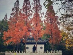 -汇龙潭