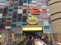 -欢乐牧场(T12店)