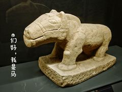 -遵义市博物馆