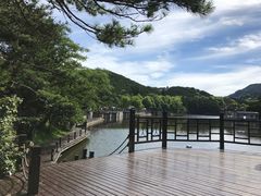 -庐山风景区花径公园