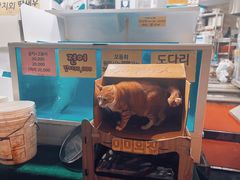-西归浦每天偶来市场