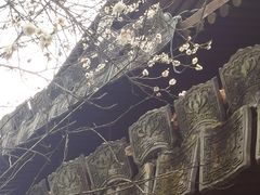 -三垟湿地