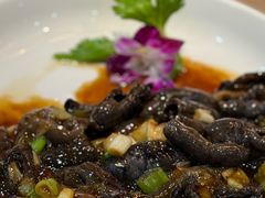 海参-直隶安家牛肉罩饼(七一路店)