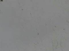 -风雅陶笛(朱家角古镇店)