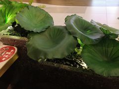 -新辣道鱼火锅(西直门店)