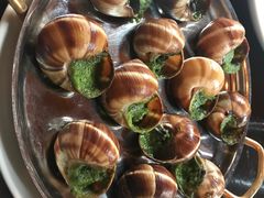 -金蜗牛