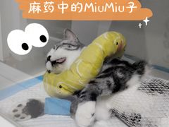 -宠颐生动物医院·心脏科·保险定点(锦阳分院)