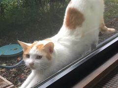 -南紀白浜 浜千鳥の湯 海舟