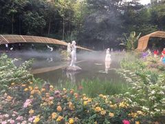 -深圳仙湖植物园-停车场