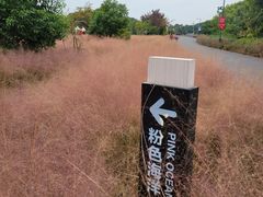 -嘉北郊野公园