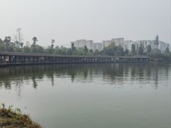 -枫香湖儿童公园