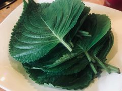 苏子叶-香猪坊(五道口店)