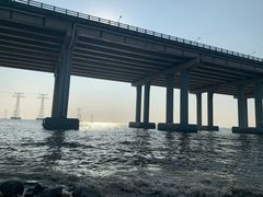 -宝安西湾红树林湿地公园