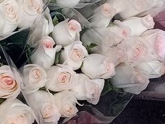 -循礼门鲜花花市(武汉循礼门店)