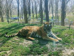 -北京野生动物园