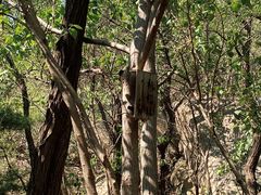 -白水寺森林公园