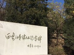 -白水寺森林公园