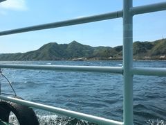 -河口景区