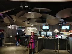 -百美汇影城(LUXE嘉里中心店)