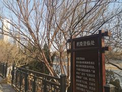 -桃花堤公园